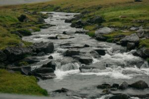 stream flowing through moorland 