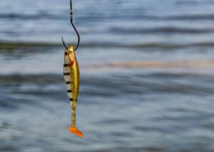 fish on a hook